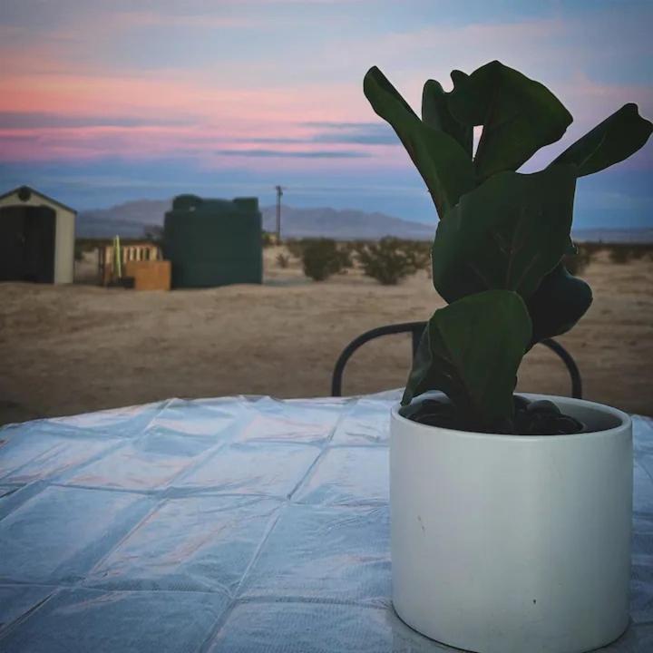 Serene Modern Home Backdoor With Great Wifi, Games, Movies, Patio Seating And Bbq Easy Access To North Joshua Tree National Park In 10 Minutes Twentynine Palms Extérieur photo